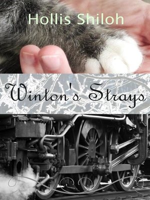 cover image of Winton's Strays
